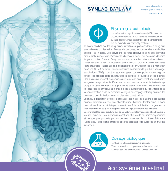Exemple de bilan d'exploration du microbiote 1